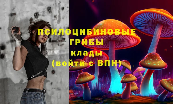 a pvp Алексин