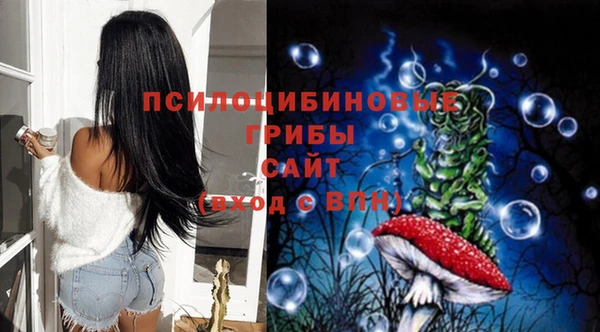 a pvp Алексин