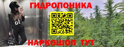 ГАЛЛЮЦИНОГЕННЫЕ ГРИБЫ Кинель