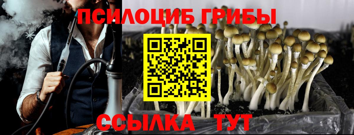 Лесной  Псилоцибиновые грибы ЛСД  Вход с VPN 